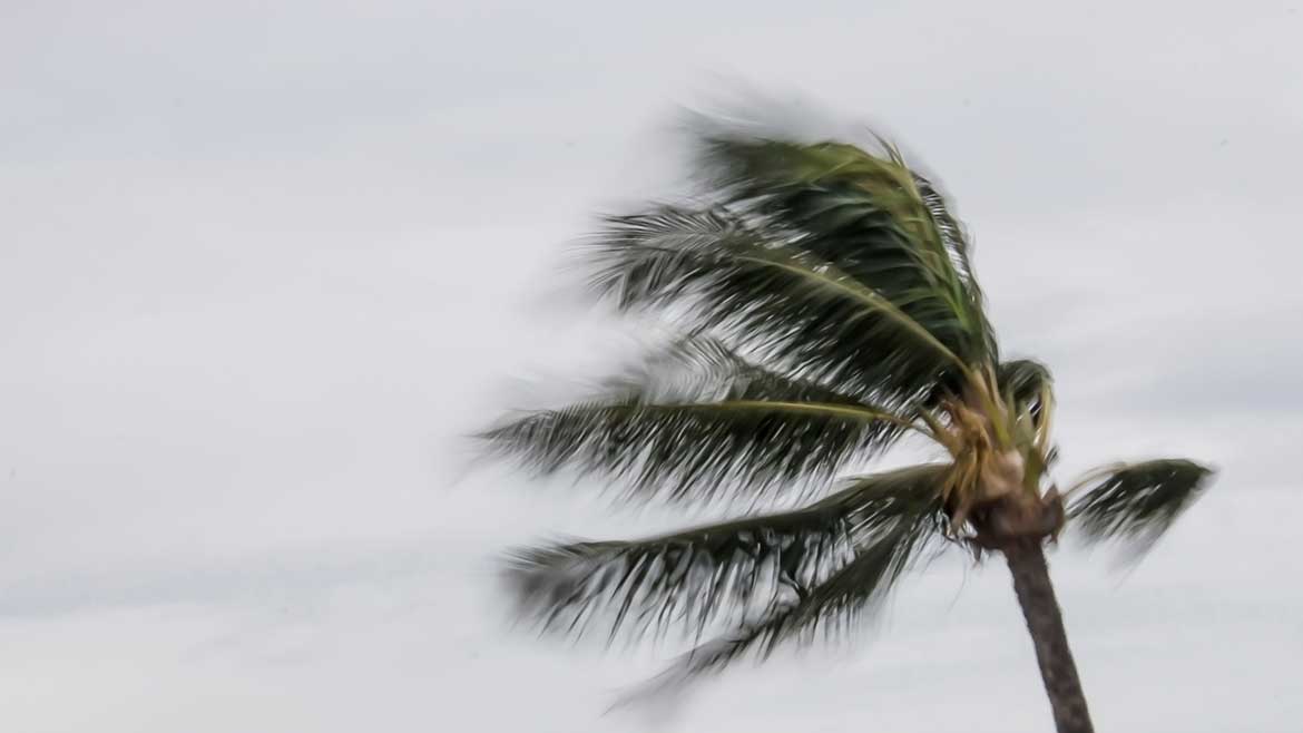 Severe Weather and Hurricane Preparedness