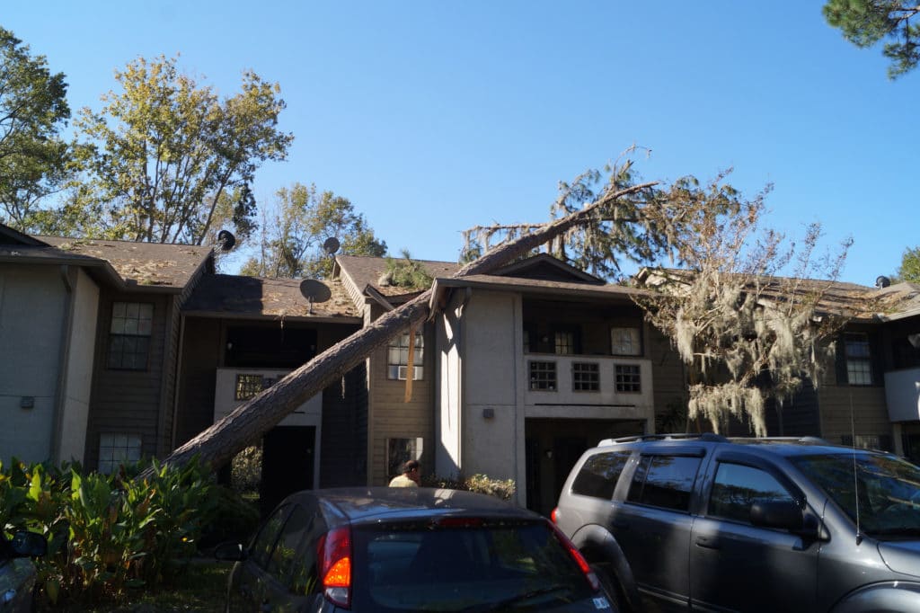hurricane-insurance-type hurricane-season