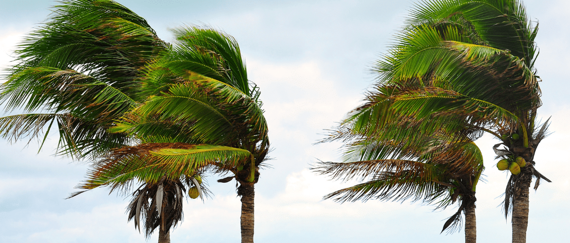 Hurricane Preparedness Tips